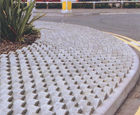Elite deterrent paving 