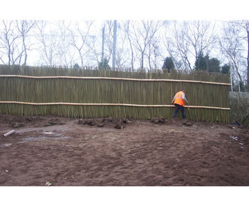 Acoustic Green Barrier™ reducing noise from railway