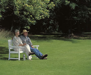 PM 120 Slowgrowth grass seed