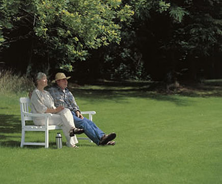 PM 120 Slowgrowth grass seed