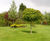 PM 20 Fineturf high-quality seed mix for tees, fairways and lawns 0