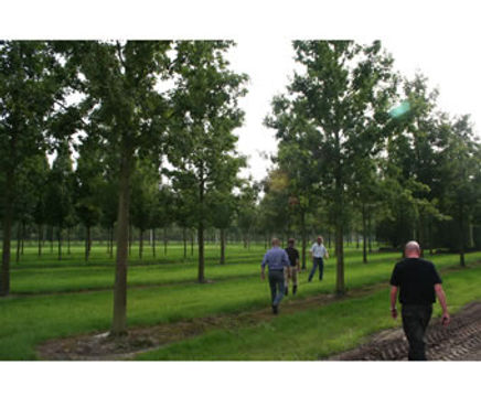 Contract growing service