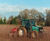 Field-grown wholesale trees 5