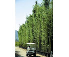 Screening and hedging