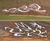 EverEdge ProEdge flexible galvanised steel garden edging 11