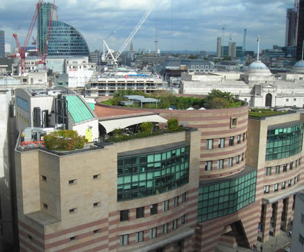 Semi-intensive green roof systems