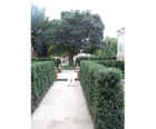 Instant hedging