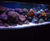 Aquatic consultancy 2