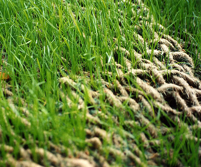 GeoJute™ erosion control mesh  Greenfix Soil Stabilisation