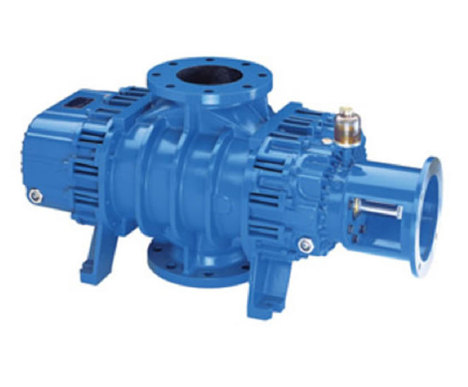 Robuschi RBS/AV vacuum booster pumps Industrial Blower Services