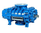 Robuschi RB-DV pre-inlet vacuum pumps