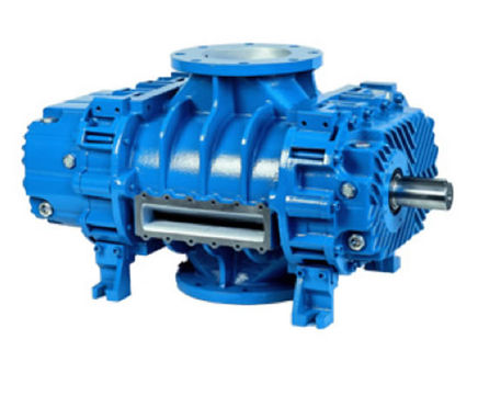 Robuschi RB-DV pre-inlet vacuum pumps