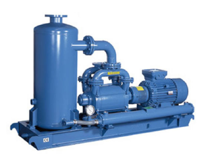Robuschi RVS liquid ring vacuum pumps Industrial Blower Services