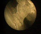 Fibrescope inspection, crane turret, Aberdeen - on this page