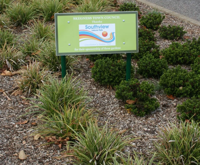 Extensive roadside shrub planting, Skegness Coles Nurseries