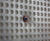 CDM 508 - 8mm cavity drain membrane for basements 2