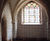 Newtonite Lath Mesh Membrane - plastic damp proof mesh for plaster walls 4