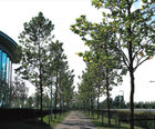 Contract growing services