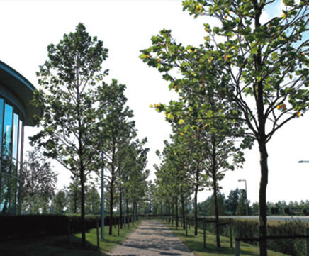 Contract growing services