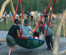 Nest Swing