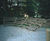 Amphitheatre Outdoor Seating 2