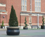 Garden Classics - Bell lightweight GRP tree planters - on this page