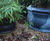 Garden Classics - Bell lightweight GRP tree planters 5