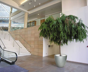 Cirkik Spirit Planters - modern fiberglass indoor plant pots