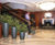 Ceramic Style - Cleopatra lightweight indoor planters 2