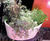 Ceramic Style - Cleopatra lightweight indoor planters 5