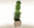 Curvy Jayne - contemporary ultra-lightweight curved planters 1