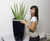 Water Cell planter irrigation system 6