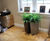 Spirit - Trifik ultra-lightweight interior planters 5