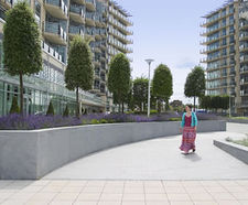Trees, Battersea Reach, London
