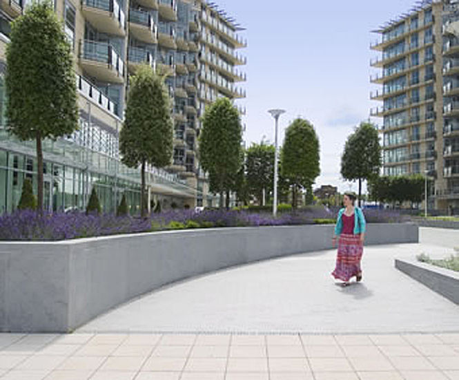 Trees, Battersea Reach, London
