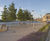 Trees, Battersea Reach, London 2