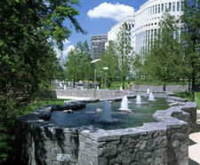 Trees, Canary Wharf