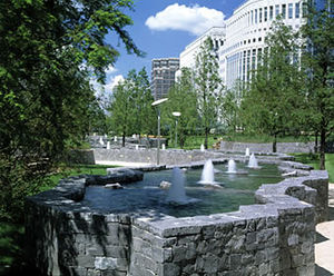 Trees, Canary Wharf
