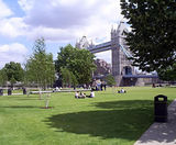 Trees, Potters Field Park, London - on this page