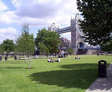 Trees, Potters Field Park, London