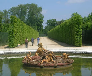 Trees and hedging, Parc de Versailles