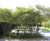 Angel Field garden, Liverpool Hope University 3