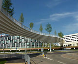 Trees, Winnersh Bridge, Reading - on this page