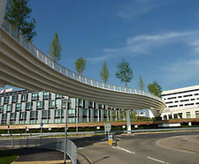 Trees, Winnersh Bridge, Reading