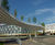 Trees, Winnersh Bridge, Reading 0