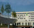 Trees, Winnersh Bridge, Reading 1