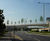 Trees, Winnersh Bridge, Reading 3