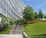 Trees and green space, Chavasse Park, Liverpool - on this page