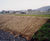 BioMac® biodegradable mats 5