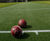 ECB-approved artificial cricket systems 8